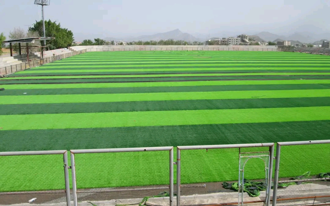 ملعب نادي الصقر